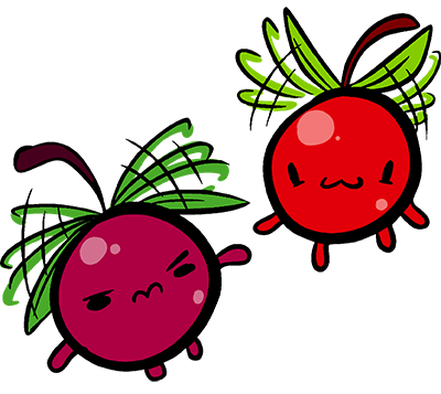Twin Cherry Flies